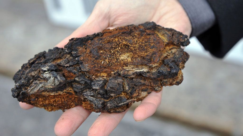 Pakurikäävän (Inonotus obliquus) tunnistaa hiilimäisestä ulkomuodosta.