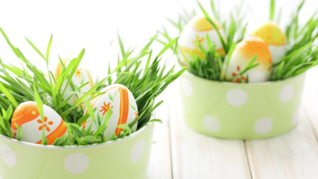 Rairuohon sijaan kasvatettavaksi kelpaavat myös muut ruohot.