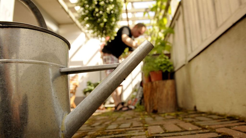 Luo puutarhamainen tunnelma kerrostamalla kasveja erilaisiin tasoihin.