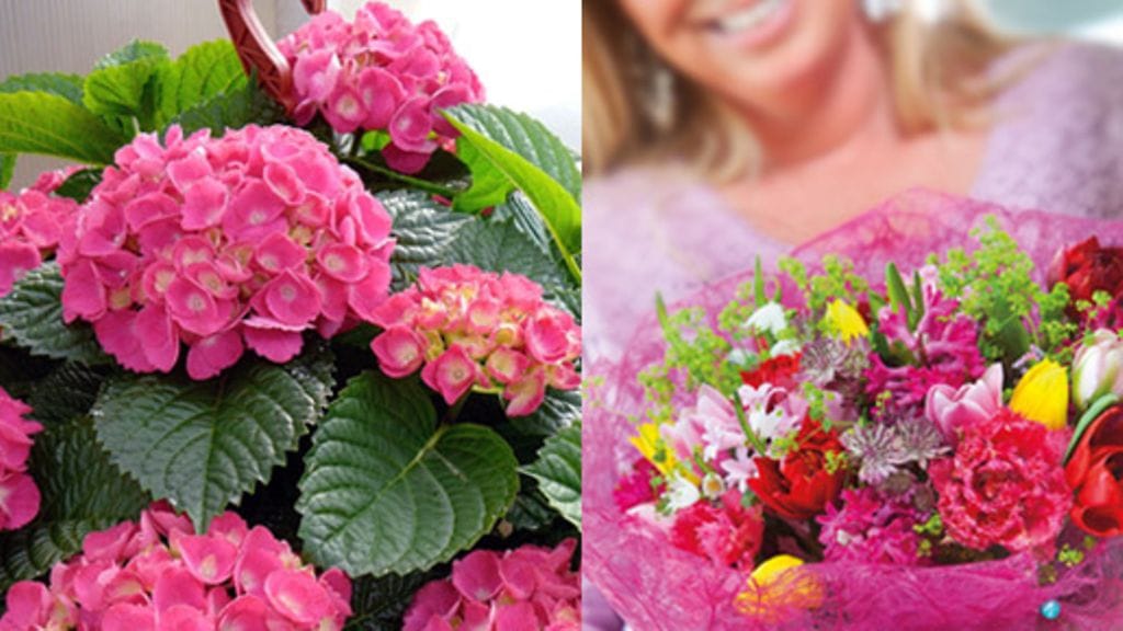 Kotia voi koristaa esimerkiksi kimppujen ja näyttävien kukkaistutusten avulla.