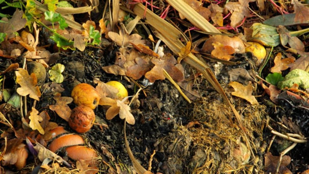 Kompostia voi käyttää myös talvella.