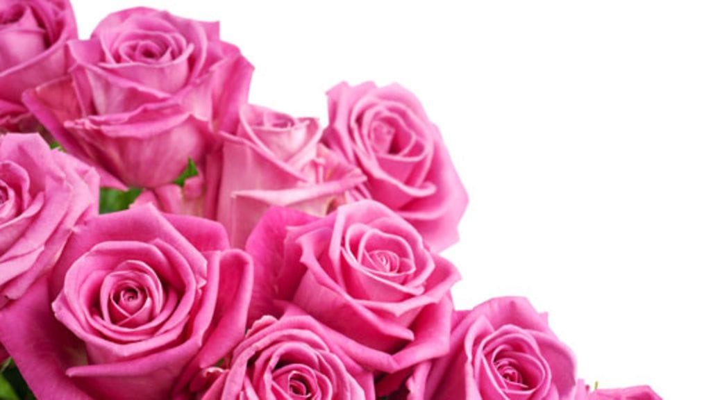 Ruusut kukkivat kauniisti myös kortissa.