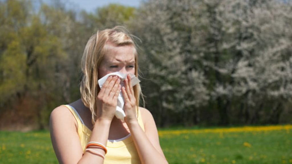 Allergia- ja astmaliitto kertoo, että allergikot pääsevät tänä vuonna helpommalla.