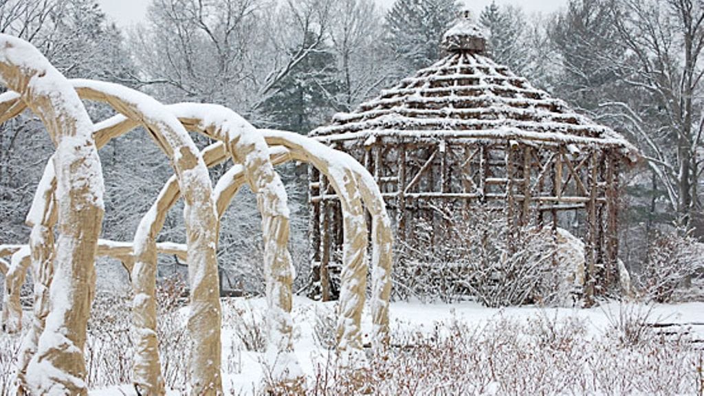Kesän vehreys muuttuu talvella upeaksi taideteokseksi.