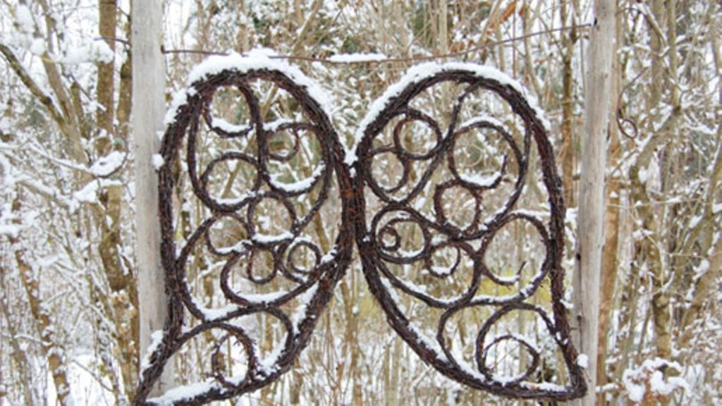 Upea siipikoriste on pihan katseenvangitsija, kuva: Risulinnut.