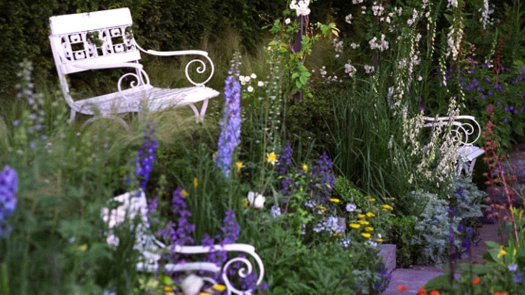 Chelsea Flower Show: Jon Enoch RHS