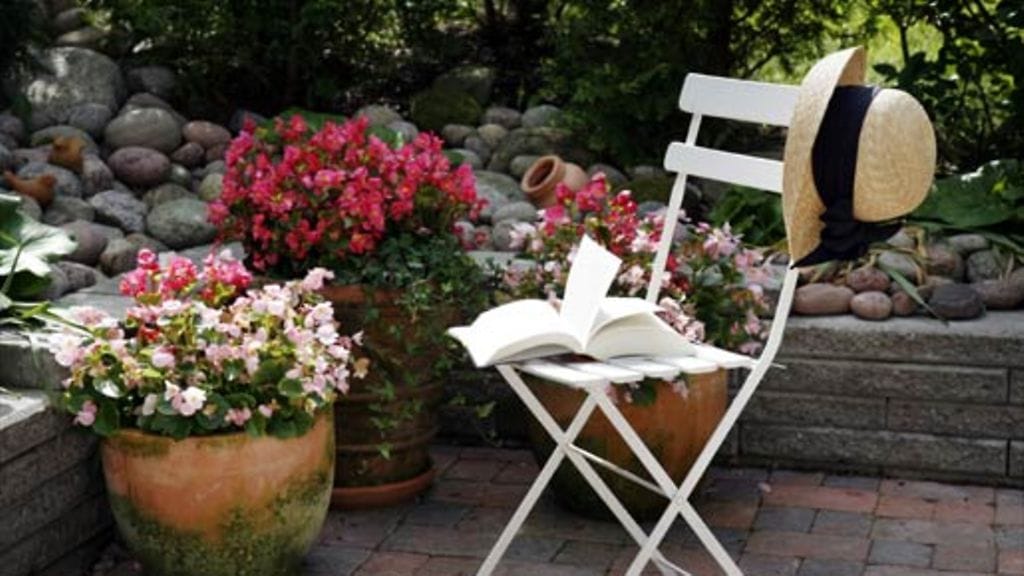 Sija 1. Neiti Kesäheinä. Kuva: Tuula Vitikainen.