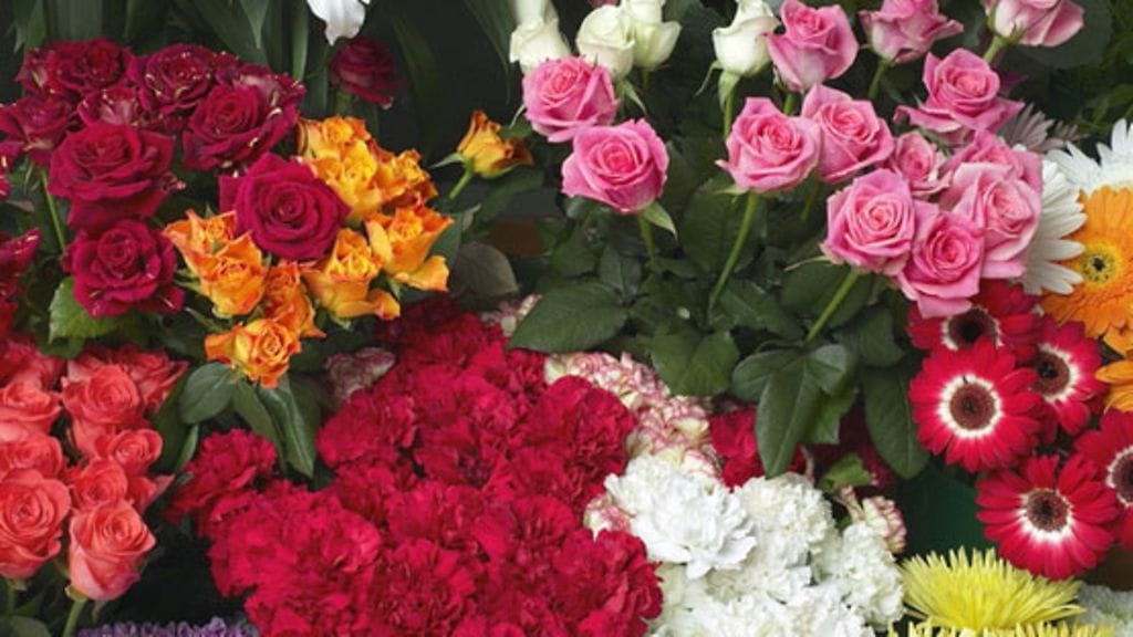 Kuva: Futureimagebank