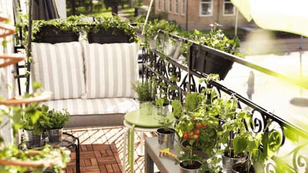 Parvekkeelle voi valita kasveja esimerkiksi tuoksun perusteella. Kuva: Ikea