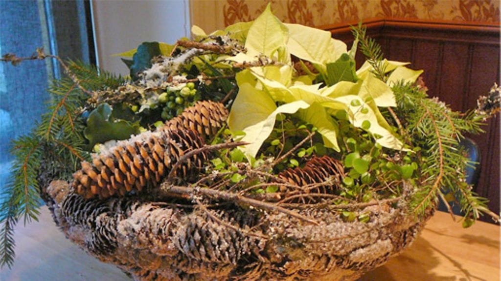 Joulutähdistä saa myös näyttäviä asetelmia. Kuvassa floristi Roope Korhosen luomus.