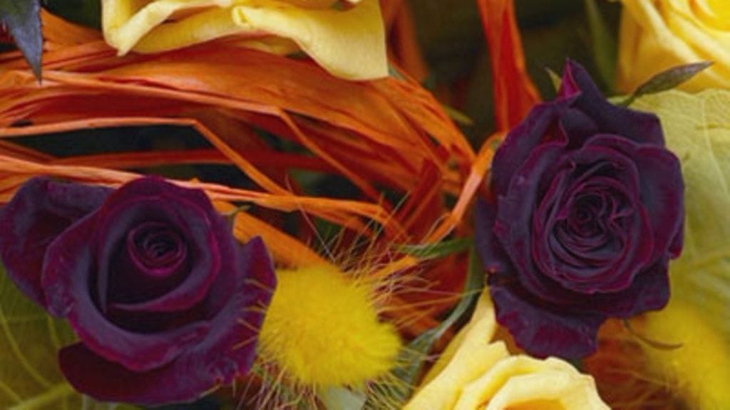 Kuva: Futureimagebank