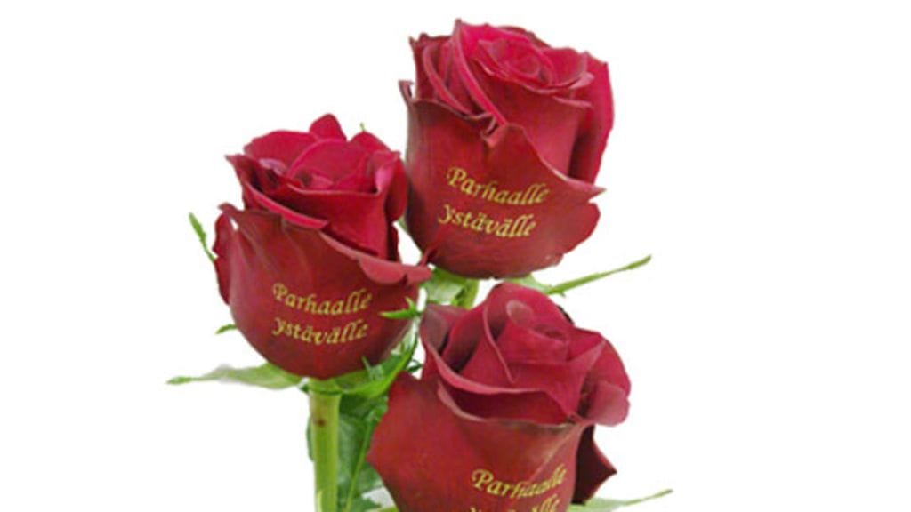 Ruusuja saa nykyään tekstityksen kera.