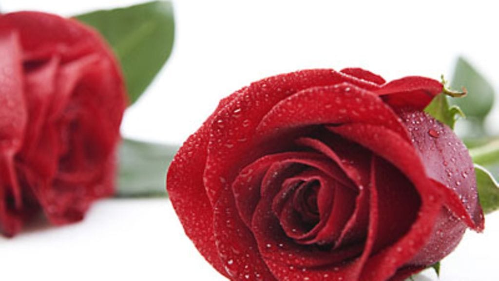 Kuva: Futureimagebank