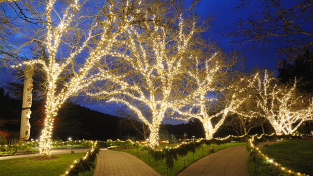 Jouluvaloilla piha muuttuu talven ihmemaaksi, vaikka lunta ei vielä olisikaan.