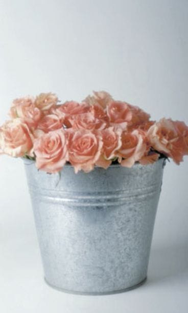 Kuva: Futureimagebank