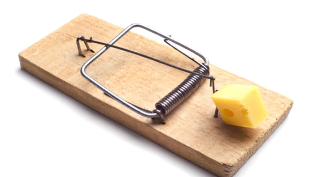 Myyrät saa häädettyä puutarhasta monin keinoin.