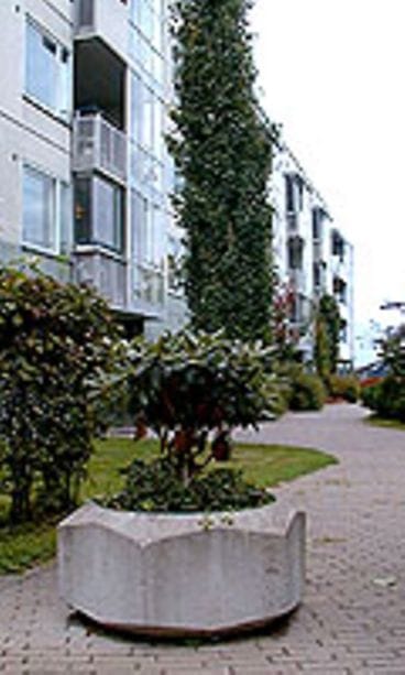 Pohjoiskaaren ranta Lauttasaaressa