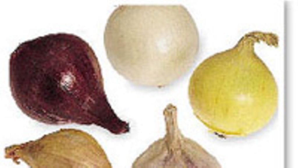 Kuva: Sanna Peurakoski