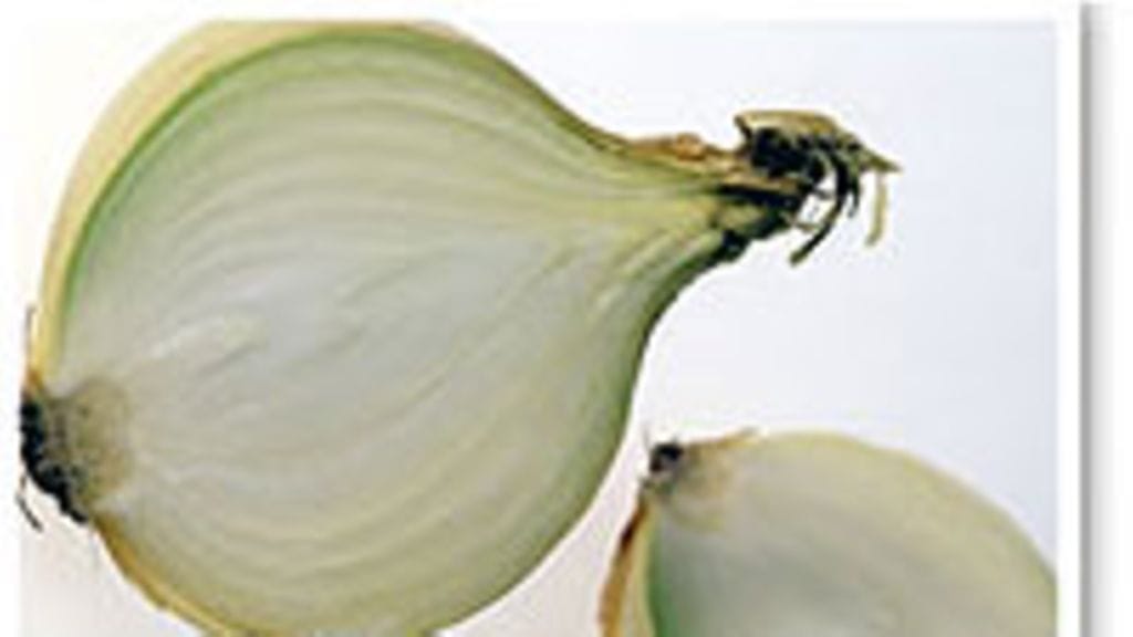 Kuva: Sanna Peurakoski