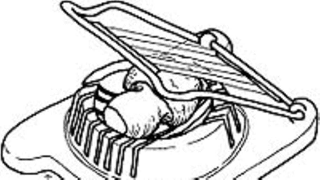 Näin saat herkkusienet näppärästi viipaleiksi