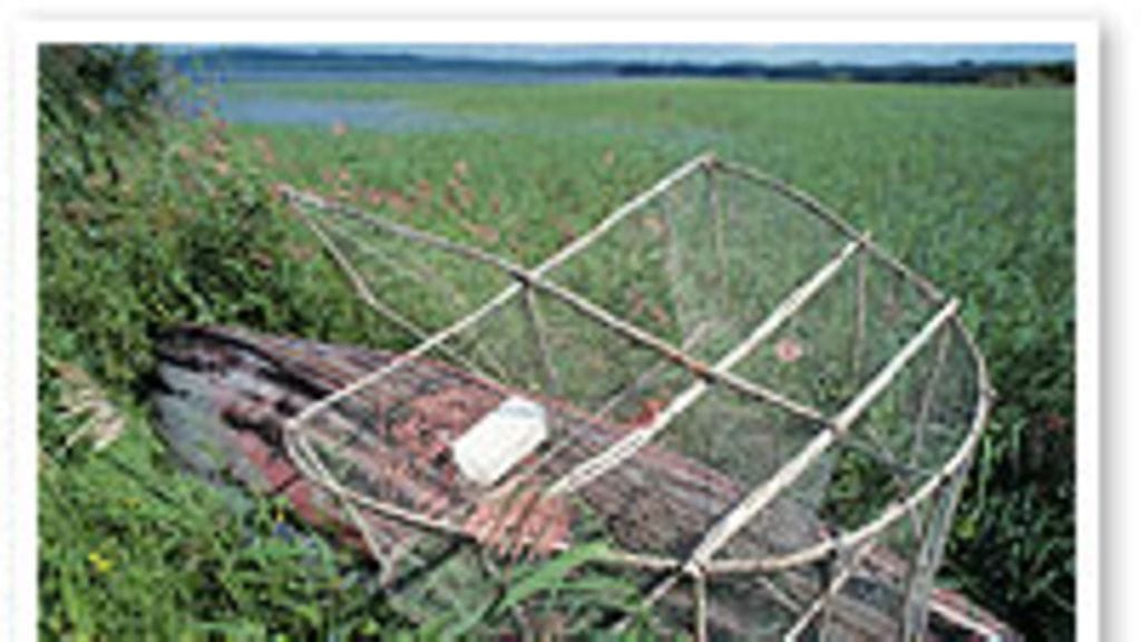 Kuva: futureimagebank.com