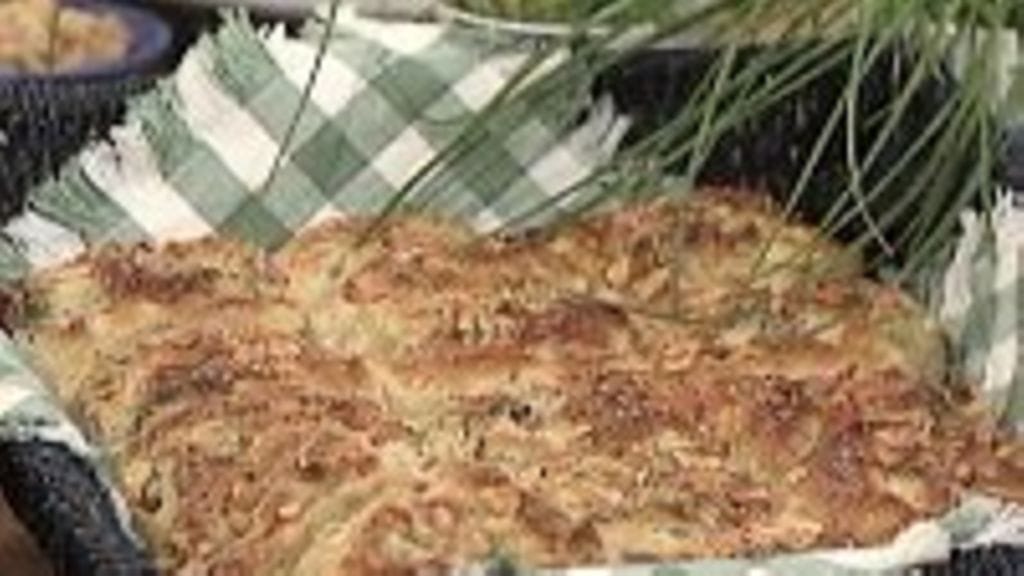 Lohi-fenkolikierteet