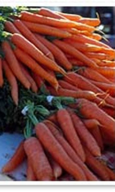 Kuvaaja Sanna Peurakoski