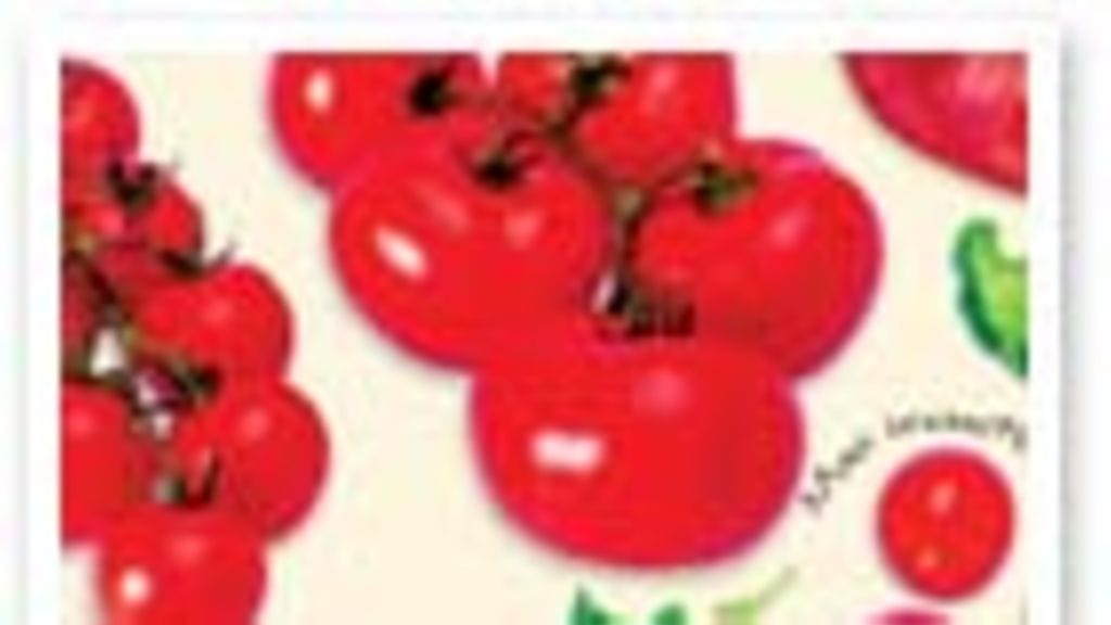 Kuvaaja Sanna Peurakoski