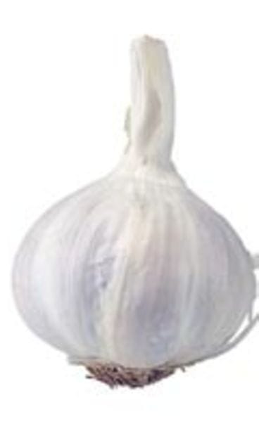 kuva: futureimagebank.com