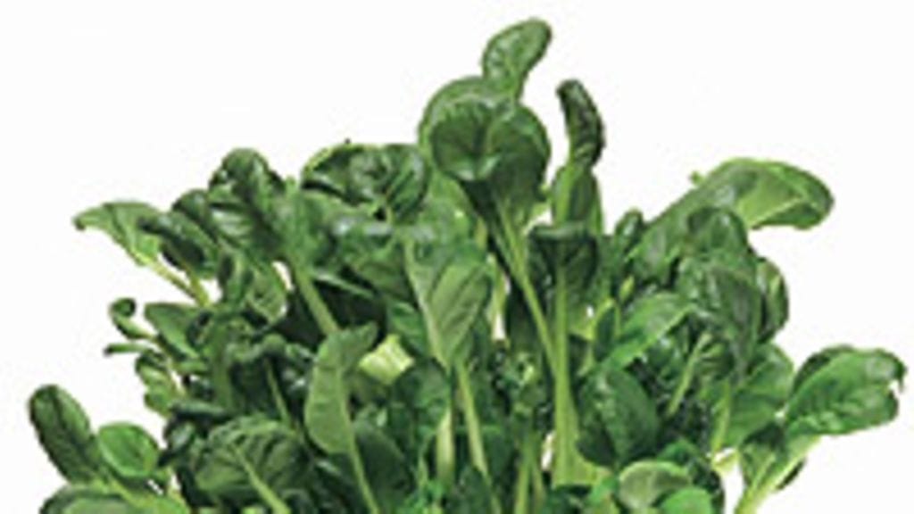 Kotimaiset Kasvikset, Harri Kosonen