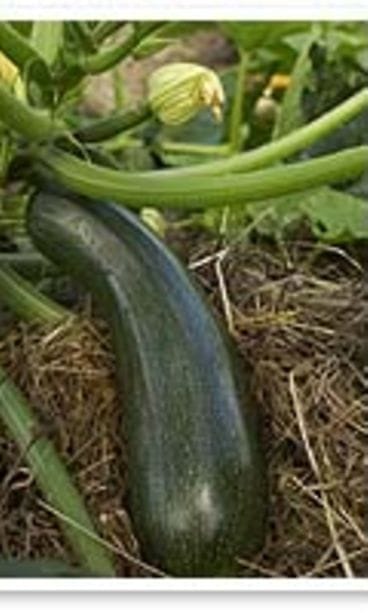 Valokuvaaja Teija Tuisku, Studio Skaala Oy