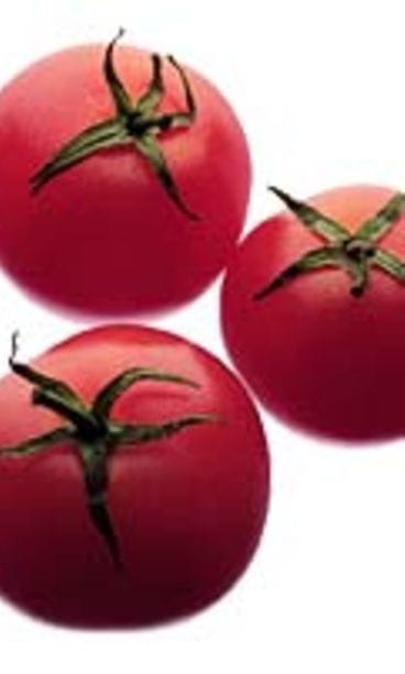 kolme tomaattia