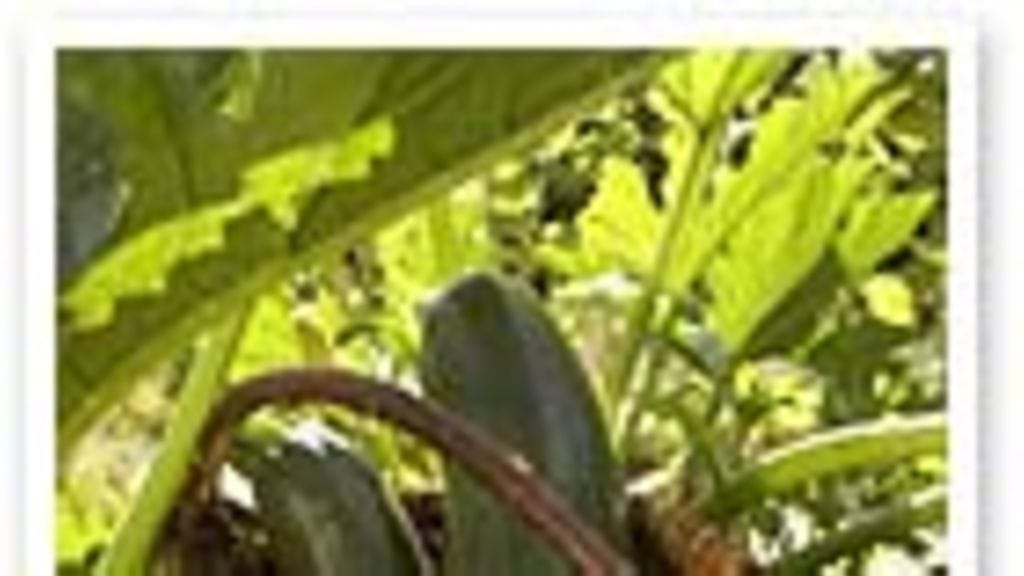 Valokuvaaja Teija Tuisku, Studio Skaala Oy