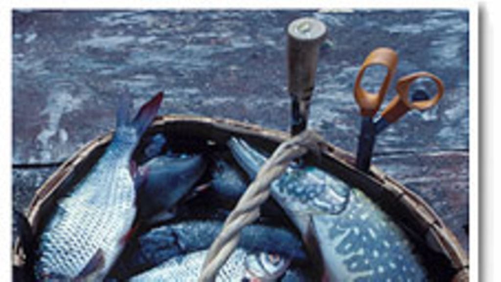 futureimagebank.com/Reijo Juurinen