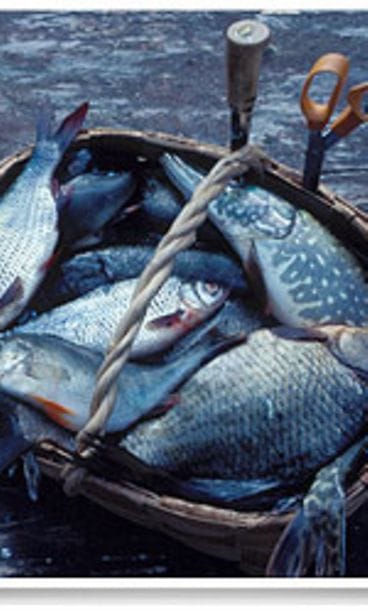 futureimagebank.com/Reijo Juurinen