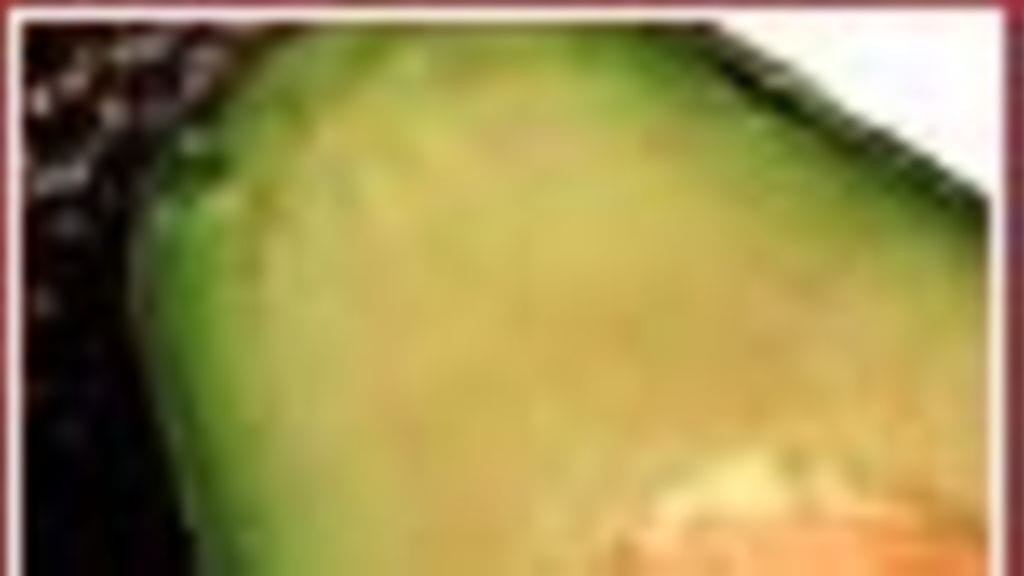 avokado