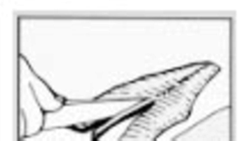 ahven ja kuha ruodottomaksi / Pro-kala ry