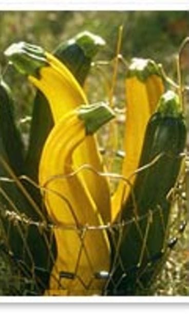 Valokuvaaja Teija Tuisku, Studio Skaala Oy