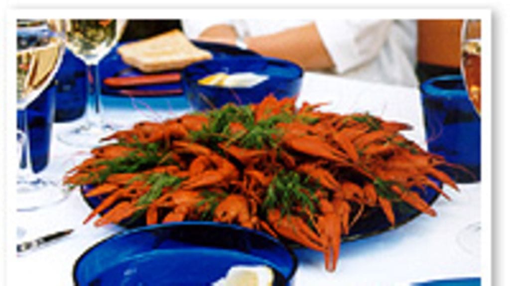 Saksiniekat asennossa kuva: Kaisa Torkkeli