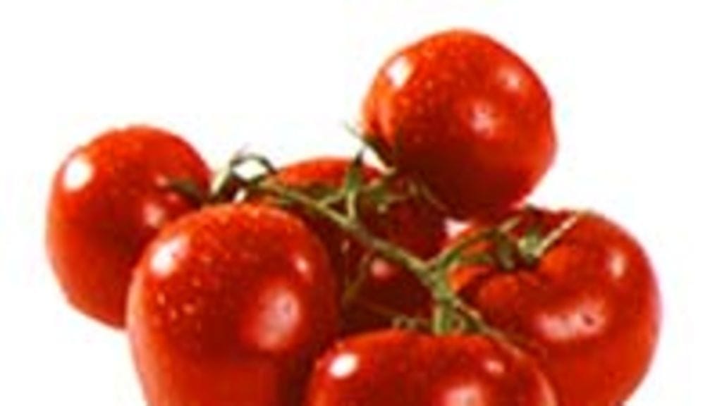 Terttutomaatit