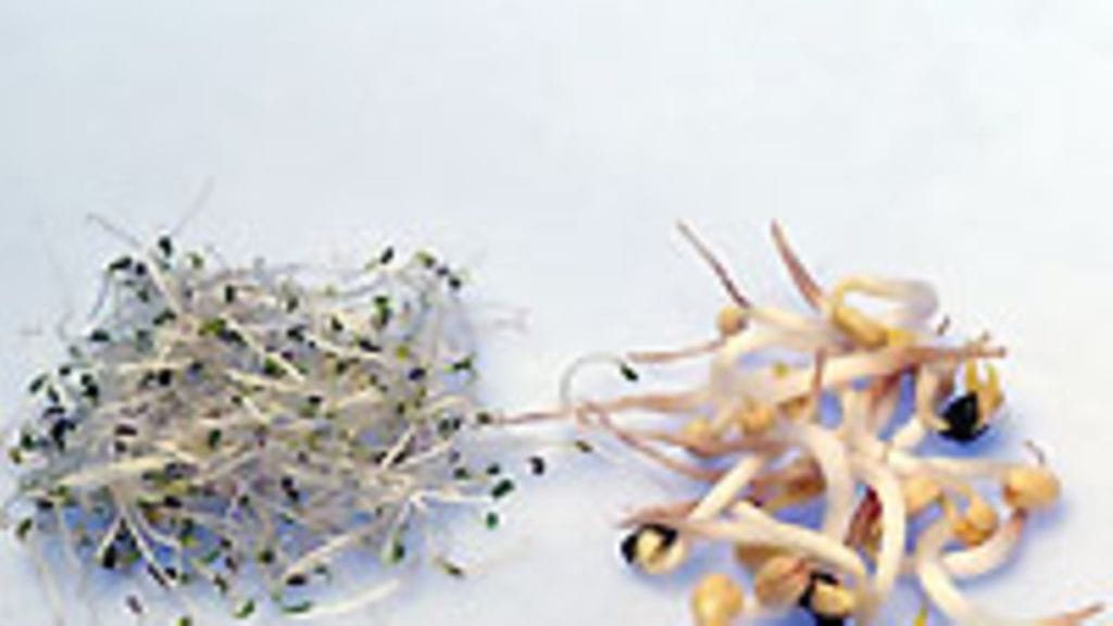 kuvaaja: Sanna Peurakoski