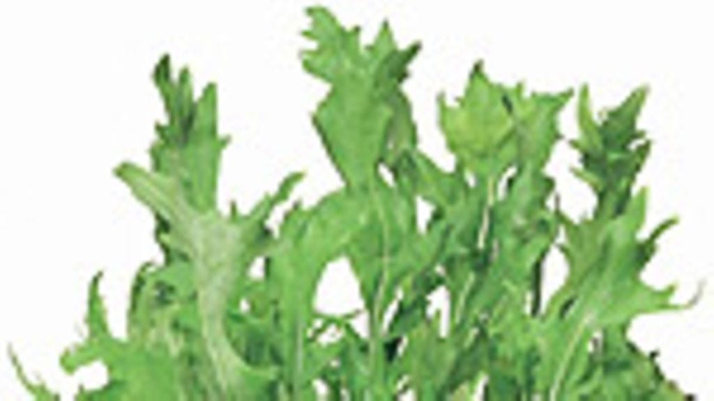 Kotimaiset Kasvikset, Harri Kosonen