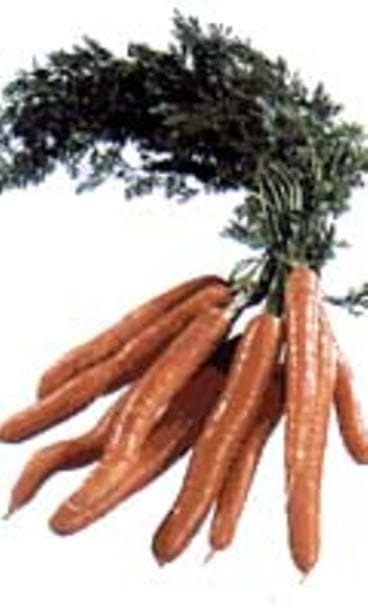 porkkananippu