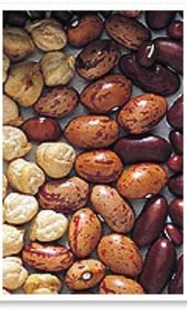 papuja
