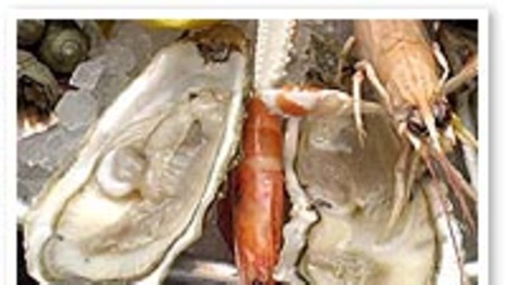avattuja ostereita
