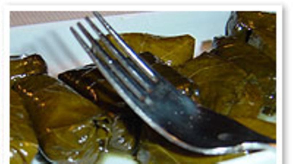 Dolmades eli viininlehtikääryleet