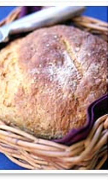 Luomuleipää