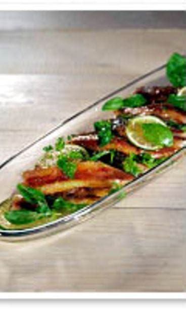 limemarinoidut silakat