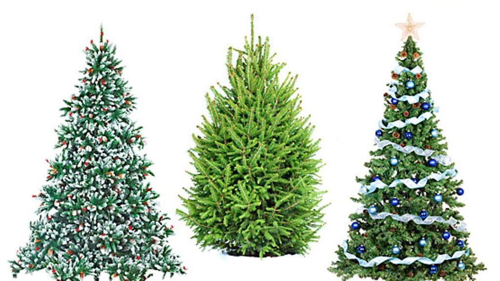 Aito kuusi tuo joulun tuoksua kotiin.