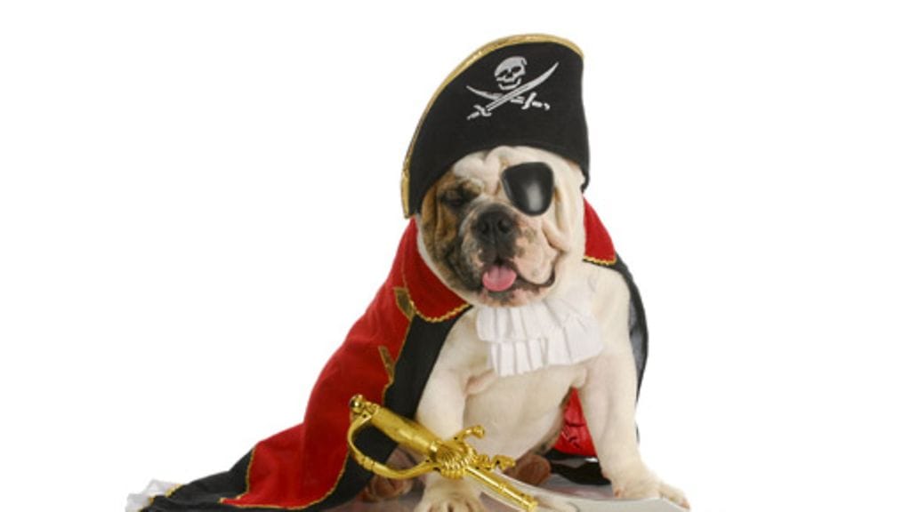 Puhu kuin merirosvo -päivää vietetään ympäri maailmaa 19.syyskuuta.